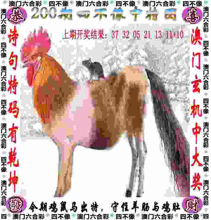 辽宁女篮搭上季后赛末班车 WCBA季后赛3月19日打响